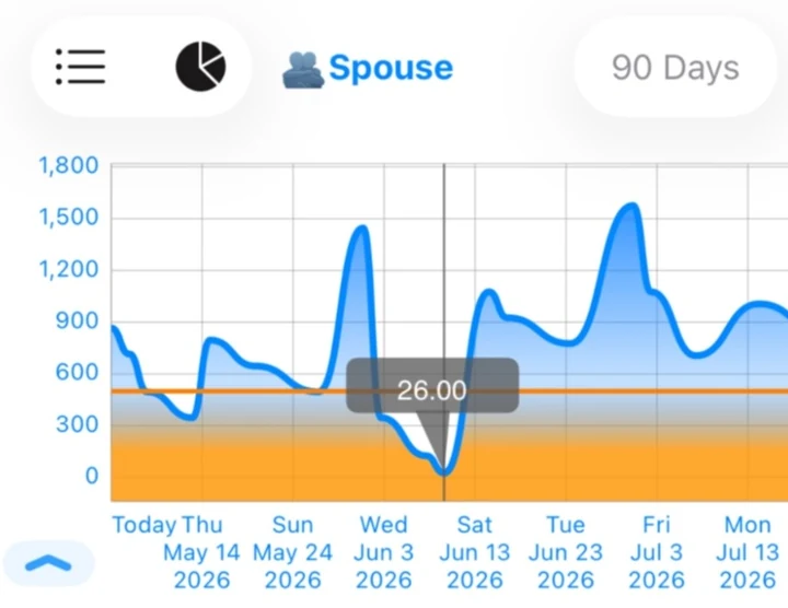 Foreseenly forecast graph showing a projected low balance of $26 inside the warning zone.